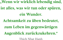 „Wenn wir wirklich lebendig sind,  ist alles, was wir tun oder spüren,  ein Wunder.  Achtsamkeit zu üben bedeutet,  zum Leben im gegenwärtigen  Augenblick zurückzukehren.“ Thich Nhat Hanh