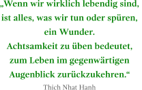 „Wenn wir wirklich lebendig sind,  ist alles, was wir tun oder spüren,  ein Wunder.  Achtsamkeit zu üben bedeutet,  zum Leben im gegenwärtigen  Augenblick zurückzukehren.“ Thich Nhat Hanh