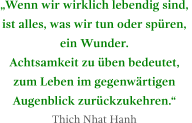 „Wenn wir wirklich lebendig sind,  ist alles, was wir tun oder spüren,  ein Wunder.  Achtsamkeit zu üben bedeutet,  zum Leben im gegenwärtigen  Augenblick zurückzukehren.“ Thich Nhat Hanh